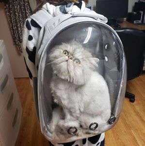 Pet carrier backpack